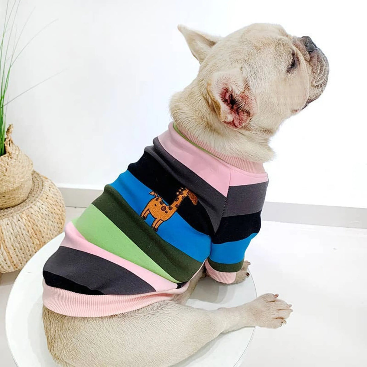 Giraffe Stripe - Matching Pet and Owner Clothing Set | Apparel | pethousekh