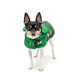 "Green with Envy" - DCNY Equestrian Collection | Dog Clothes | pethousekh