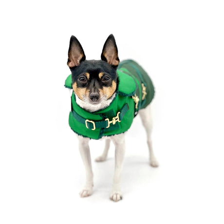 "Green with Envy" - DCNY Equestrian Collection | Dog Clothes | pethousekh