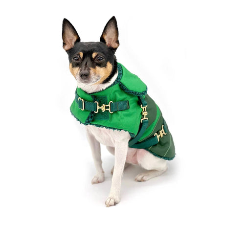 "Green with Envy" - DCNY Equestrian Collection | Dog Clothes | pethousekh