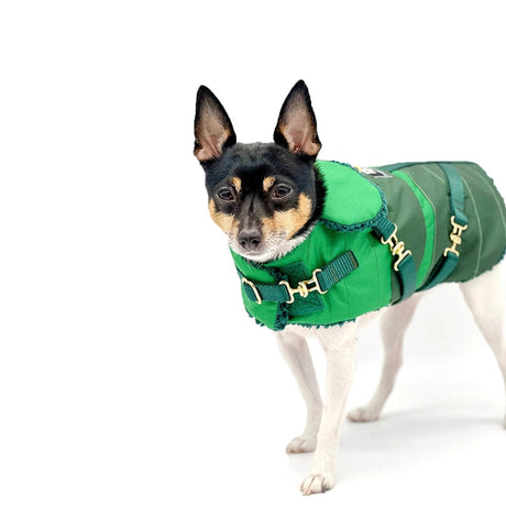"Green with Envy" - DCNY Equestrian Collection | Dog Clothes | pethousekh
