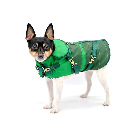 "Green with Envy" - DCNY Equestrian Collection | Dog Clothes | pethousekh