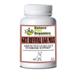 Gut Revival Lgs Max Capsules - Adjunctive Leaky Gut Syndrome Support* For Dogs And Cats | Animal Vitamins & Supplements | pethousekh