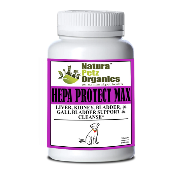 Hepa Protect Max Capsules - Liver, Kidney, Bladder & Gall Bladder Support & Cleanse* | Animal Vitamins & Supplements | pethousekh