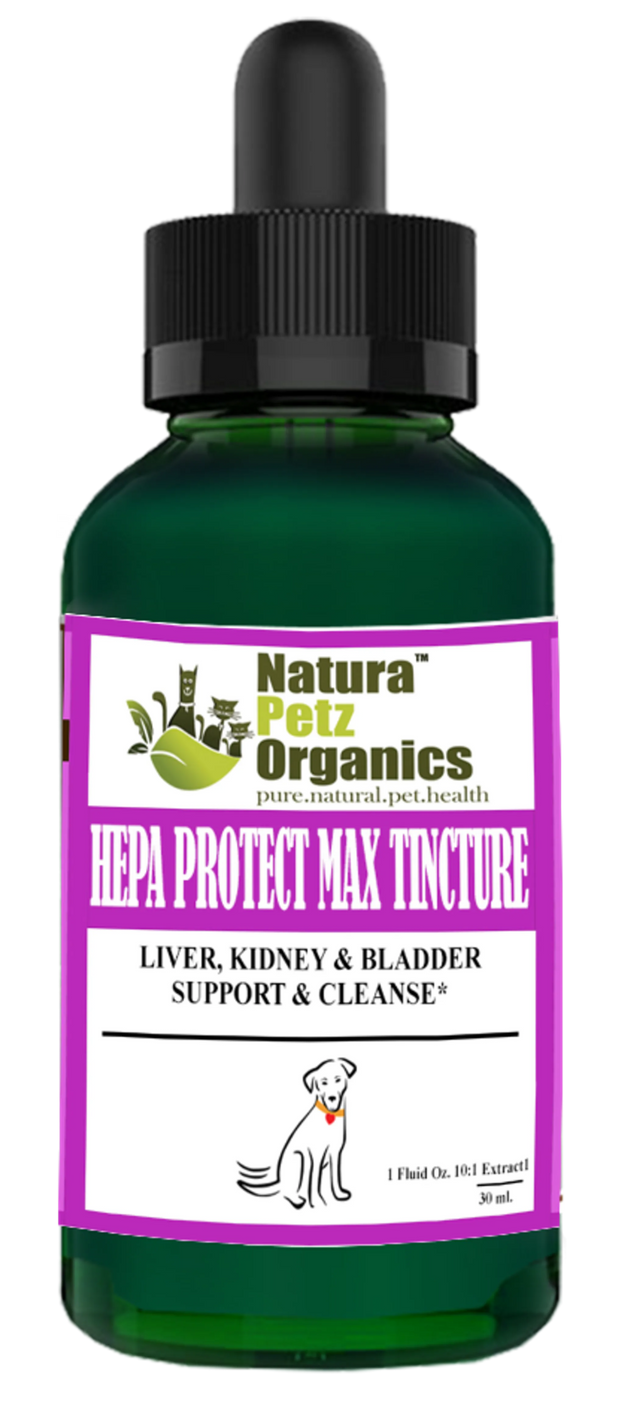 Hepa Protect Max Tincture* Master Blend Liver Kidney & Bladder Support & Cleanse 10:1 Extract* | Animal Vitamins & Supplements | pethousekh
