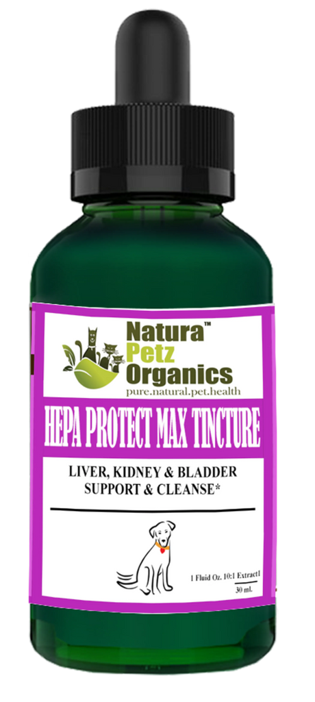 Hepa Protect Max Tincture* Master Blend Liver Kidney & Bladder Support & Cleanse 10:1 Extract* | Animal Vitamins & Supplements | pethousekh