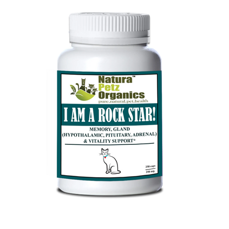 I Am A Rock Star - Memory, Gland (Hypothalamic, Pituitary And Adrenal) & Vitality Support* | Animal Vitamins & Supplements | pethousekh