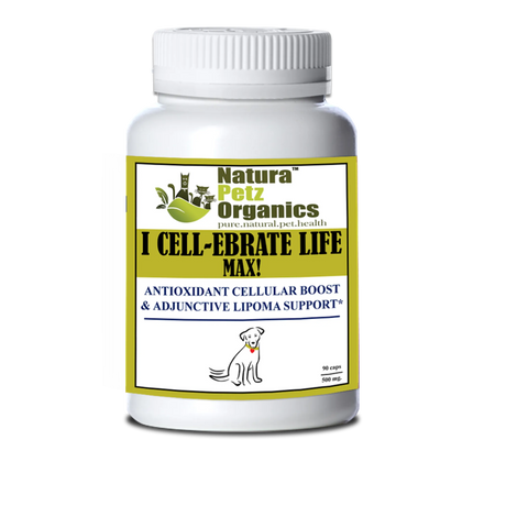 I Cellebrate Life Max - Antioxidant Cellular Boost + Adjunctive Lipoma Support* | Animal Vitamins & Supplements | pethousekh
