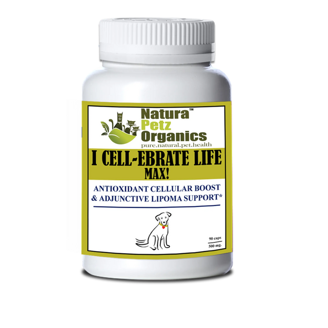 I Cellebrate Life Max - Antioxidant Cellular Boost + Adjunctive Lipoma Support* | Animal Vitamins & Supplements | pethousekh