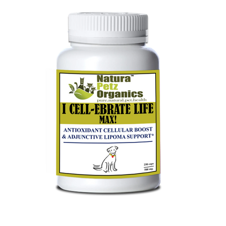 I Cellebrate Life Max - Antioxidant Cellular Boost + Adjunctive Lipoma Support* | Animal Vitamins & Supplements | pethousekh