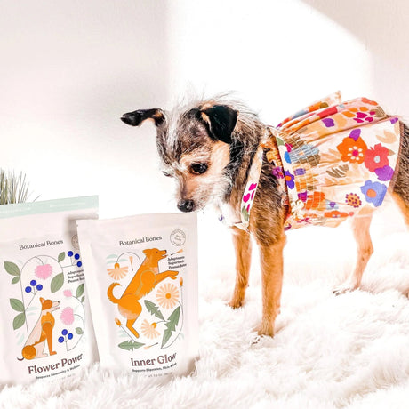 Inner Glow - Superfood Dog Treats | Dog Treats | pethousekh