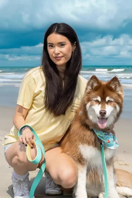 Island Vibes Waterproof Odor - Proof Dog Leash, Rugged Design | Dog Leashes | pethousekh