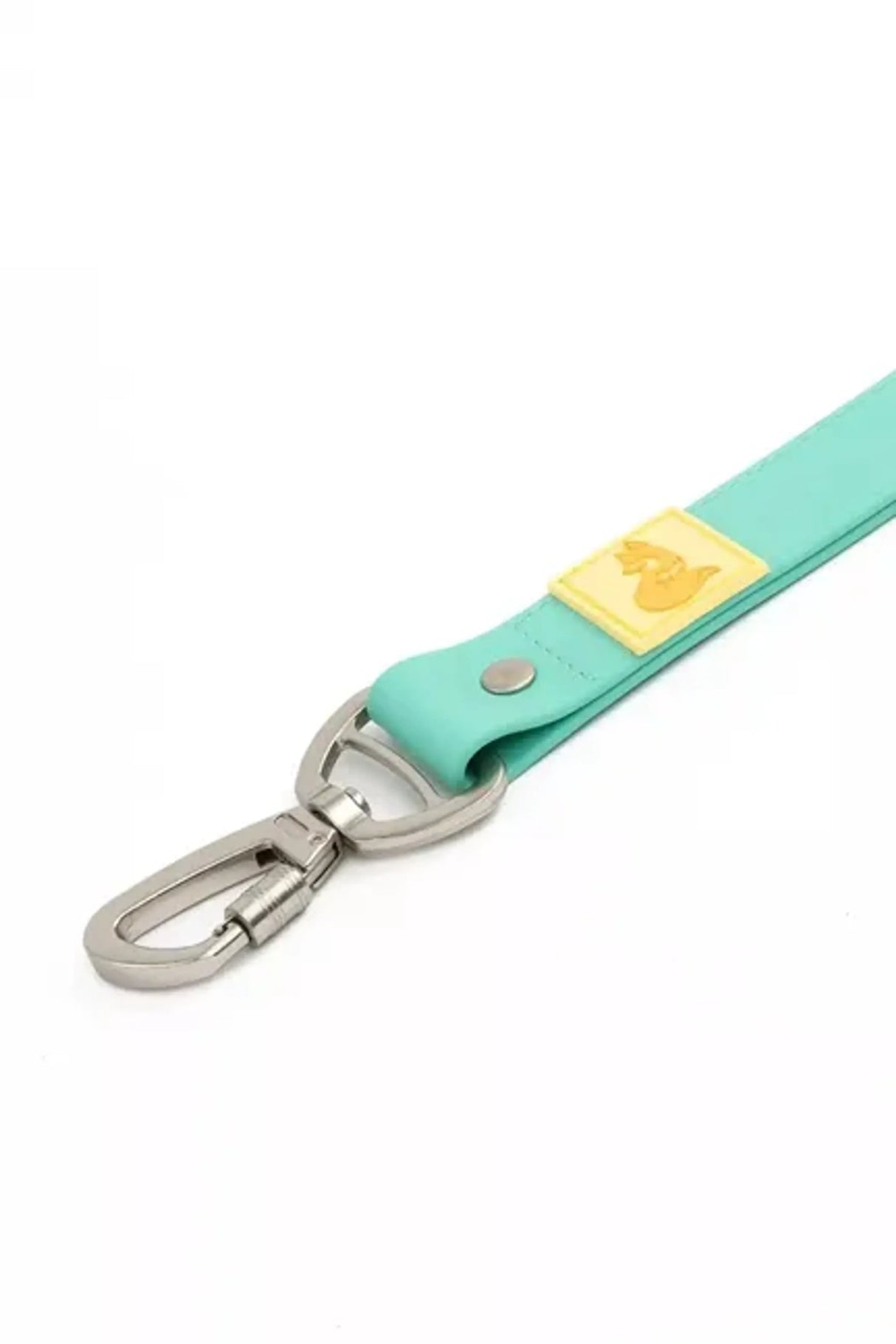 Island Vibes Waterproof Odor - Proof Dog Leash, Rugged Design | Dog Leashes | pethousekh