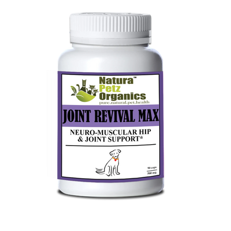 Joint Revival Max Master Blend Capsules* Neuro Muscular Hip & Joint Support* Master Blend For Dogs & Cats* | Animal Vitamins & Supplements | pethousekh