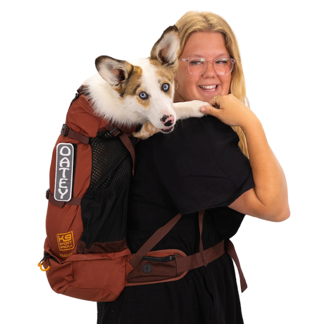 K9 Sport Sack Knavigate | Pet Carriers | pethousekh