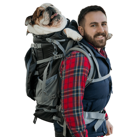 Kolossus | Big Dog Carrier & Backpacking Pack | Pet Carriers | pethousekh