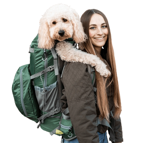 Kolossus | Big Dog Carrier & Backpacking Pack | Pet Carriers | pethousekh