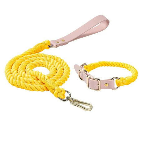Luxe Royal Leather Rope Leash and Collar Set - Size: | Pack Of: 1 | Dog Collars | pethousekh