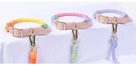 Luxe Royal Leather Rope Leash and Collar Set - Size: | Pack Of: 1 | Dog Collars | pethousekh