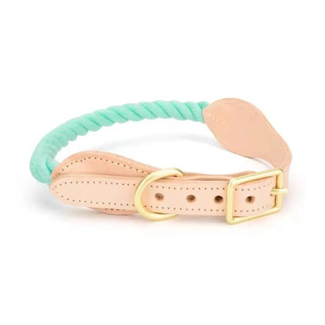 Luxe Royal Pink Leather Rope Dog Collar With Brass Hardware | Dog Collars | pethousekh