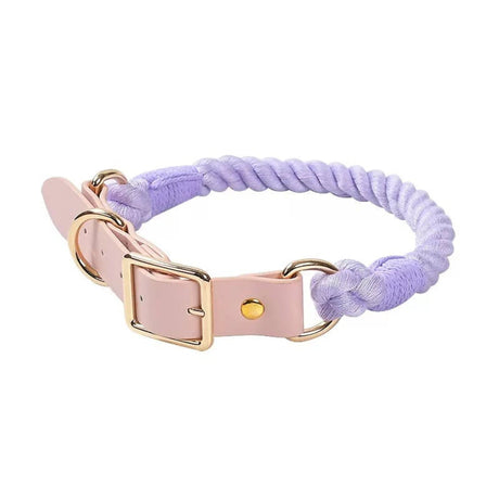 Luxe Royal Pink Leather Rope Dog Collar With Brass Hardware | Dog Collars | pethousekh