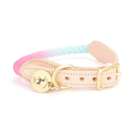 Luxe Royal Pink Leather Rope Dog Collar With Brass Hardware | Dog Collars | pethousekh