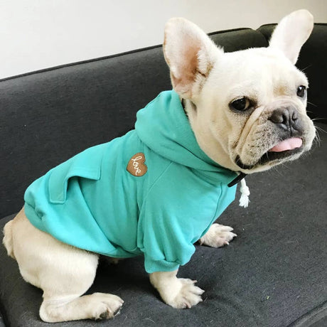 Matching Pet and Owner Clothing Set | Hoodie | Apparel | pethousekh