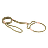 Nylon Martingale Leads (10in x 1/4in or 6mm) | Dog Leashes | pethousekh