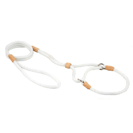 Nylon Martingale Leads (10in x 1/4in or 6mm) | Dog Leashes | pethousekh
