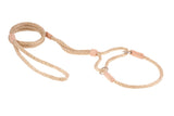 Nylon Martingale Leads (10in x 1/4in or 6mm) | Dog Leashes | pethousekh