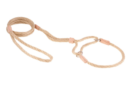 Nylon Martingale Leads (10in x 1/4in or 6mm) | Dog Leashes | pethousekh