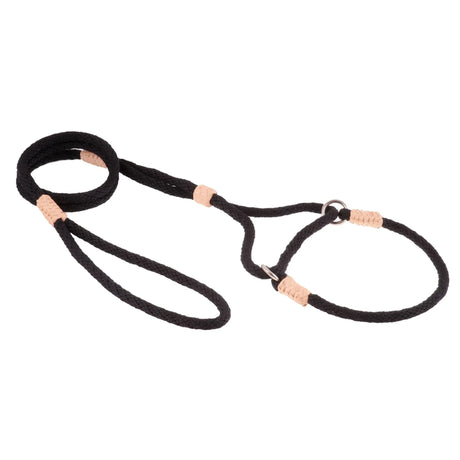 Nylon Martingale Leads (10in x 1/4in or 6mm) | Dog Leashes | pethousekh