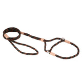 Nylon Martingale Leads (10in x 1/4in or 6mm) | Dog Leashes | pethousekh