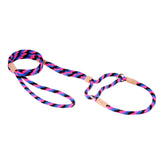 Nylon Martingale Leads (10in x 1/4in or 6mm) | Dog Leashes | pethousekh