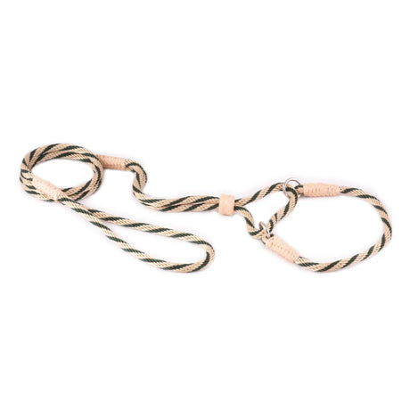 Nylon Martingale Leads (10in x 1/4in or 6mm) | Dog Leashes | pethousekh