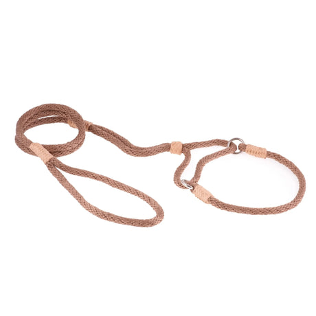 Nylon Martingale Leads (10in x 1/4in or 6mm) | Dog Leashes | pethousekh