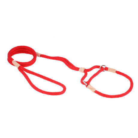 Nylon Martingale Leads (10in x 1/4in or 6mm) | Dog Leashes | pethousekh