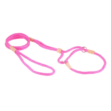 Nylon Martingale Leads (10in x 1/4in or 6mm) | Dog Leashes | pethousekh