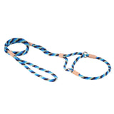 Nylon Martingale Leads (10in x 1/4in or 6mm) | Dog Leashes | pethousekh