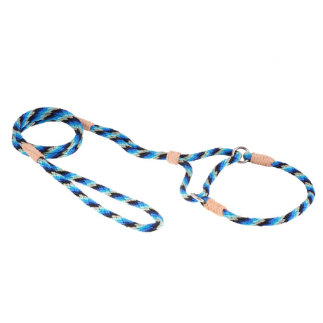 Nylon Martingale Leads (10in x 1/4in or 6mm) | Dog Leashes | pethousekh