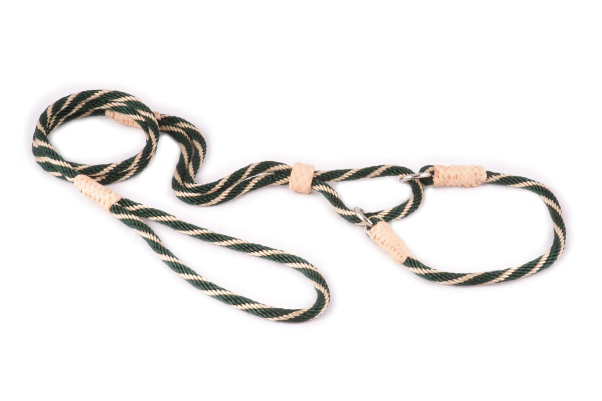 Nylon Martingale Leads (10in x 1/4in or 6mm) | Dog Leashes | pethousekh