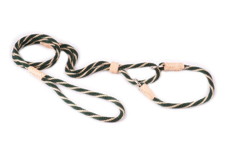 Nylon Martingale Leads (10in x 1/4in or 6mm) | Dog Leashes | pethousekh