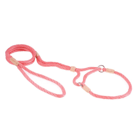 Nylon Martingale Leads (10in x 1/4in or 6mm) | Dog Leashes | pethousekh