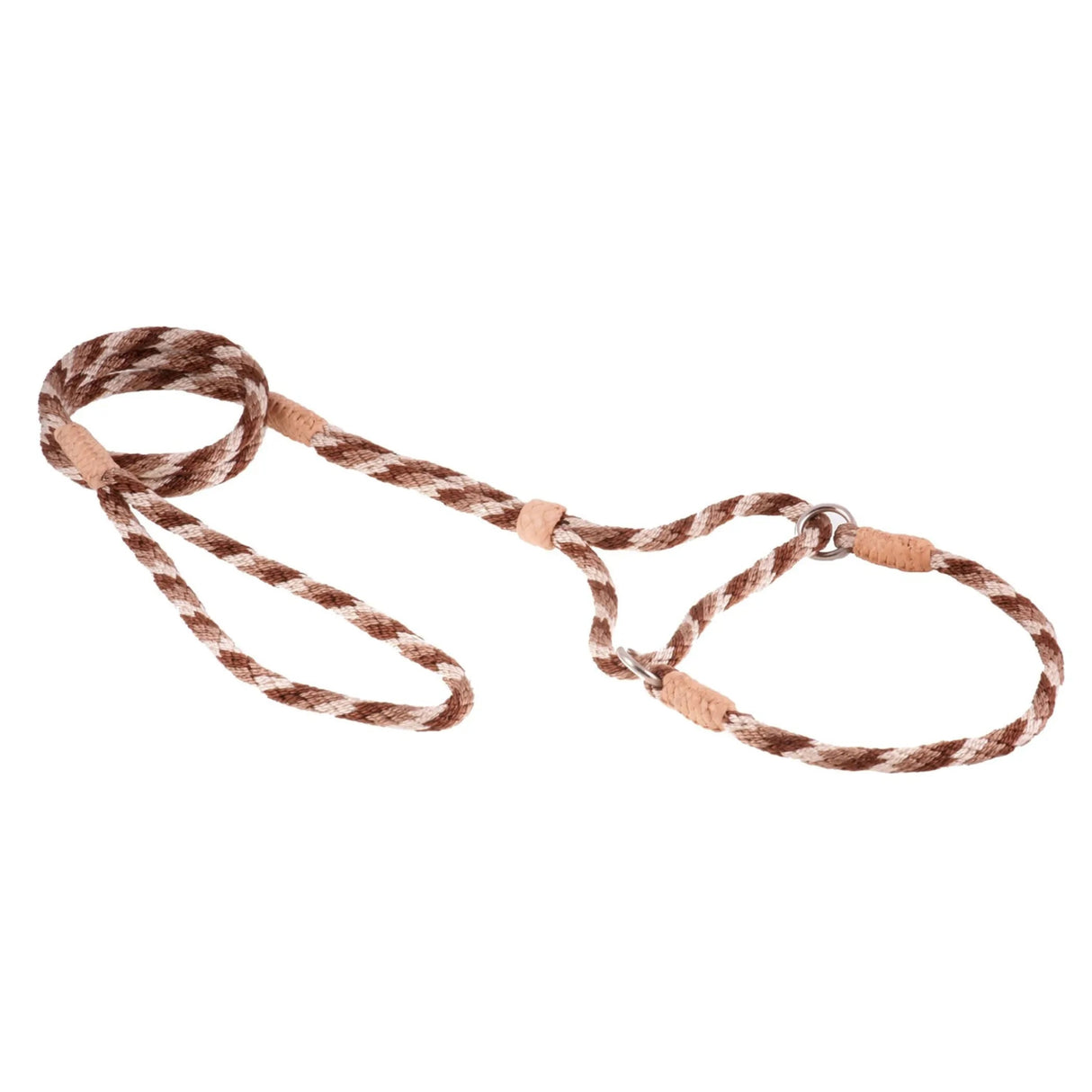 Nylon Martingale Leads (10in x 1/4in or 6mm) | Dog Leashes | pethousekh