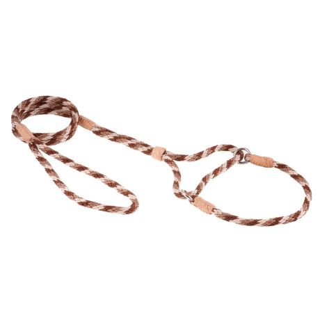 Nylon Martingale Leads (10in x 1/4in or 6mm) | Dog Leashes | pethousekh