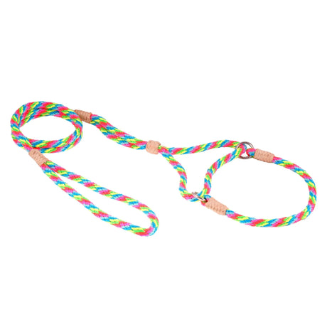 Nylon Martingale Leads (10in x 1/4in or 6mm) | Dog Leashes | pethousekh