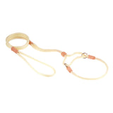 Nylon Martingale Leads (10in x 1/4in or 6mm) | Dog Leashes | pethousekh