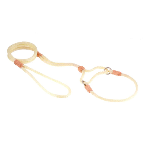Nylon Martingale Leads (10in x 1/4in or 6mm) | Dog Leashes | pethousekh