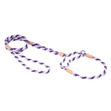 Nylon Martingale Leads (10in x 1/4in or 6mm) | Dog Leashes | pethousekh