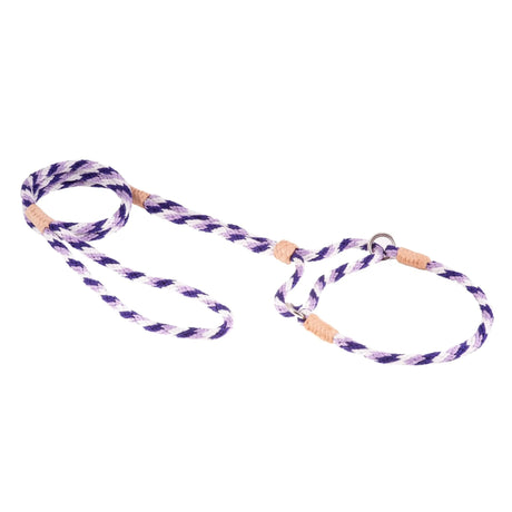 Nylon Martingale Leads (10in x 1/4in or 6mm) | Dog Leashes | pethousekh